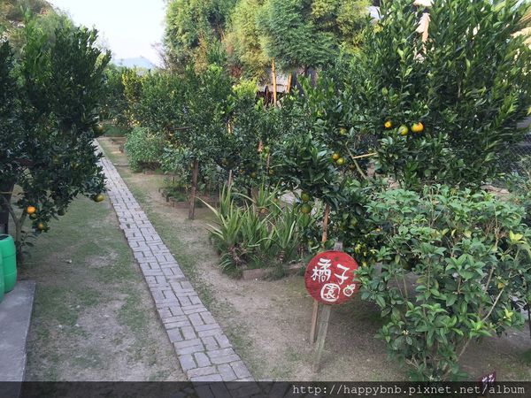 IMG_7388.JPG IMG_7388.JPG