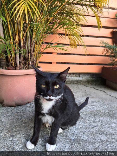 IMG_7411.JPG IMG_7411.JPG