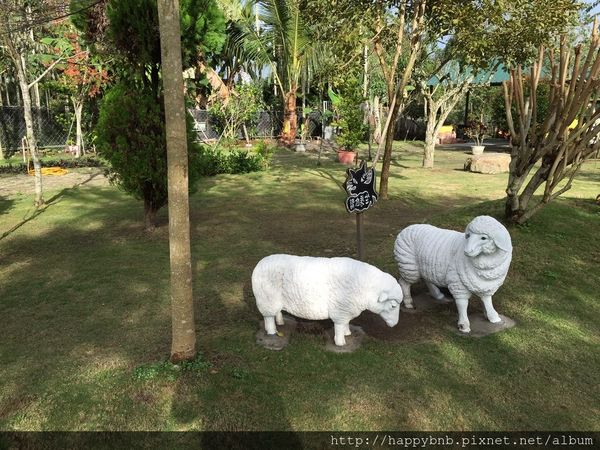 IMG_8469.JPG IMG_8469.JPG