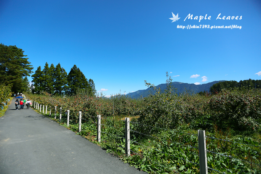 BQ1A8750.jpg BQ1A8750.jpg