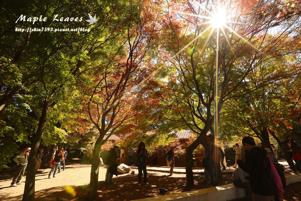 BQ1A8705.jpg BQ1A8705.jpg