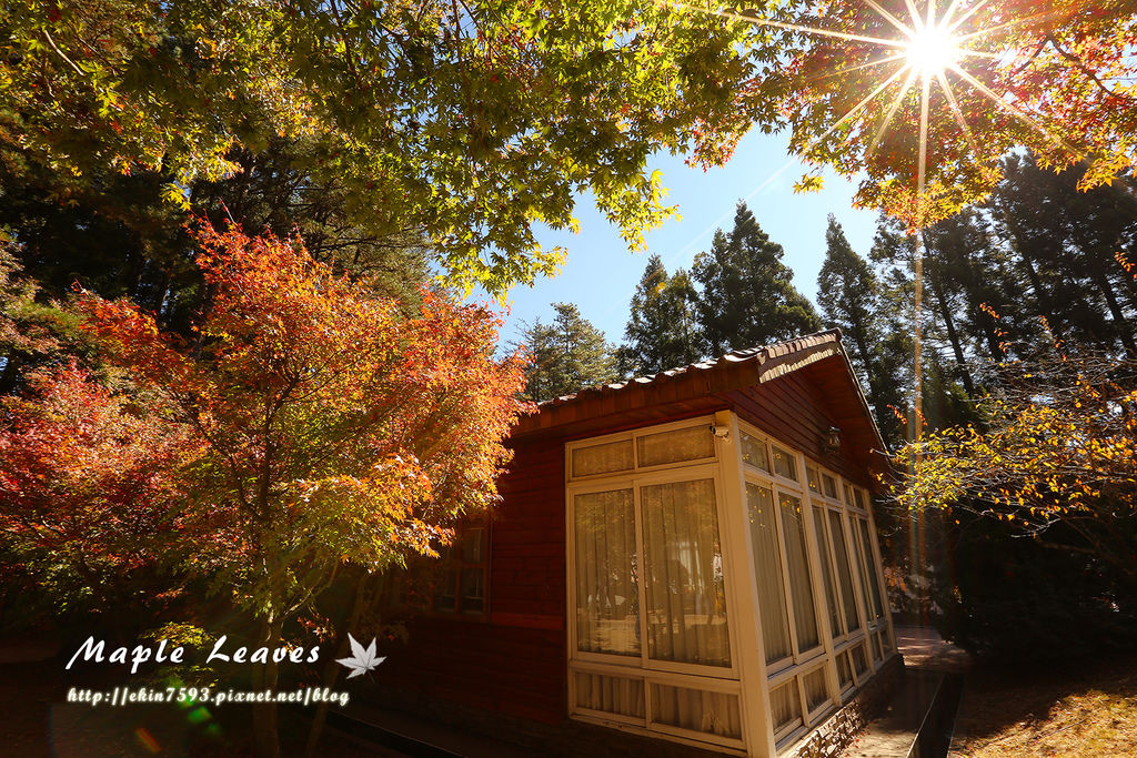 BQ1A8647.jpg BQ1A8647.jpg