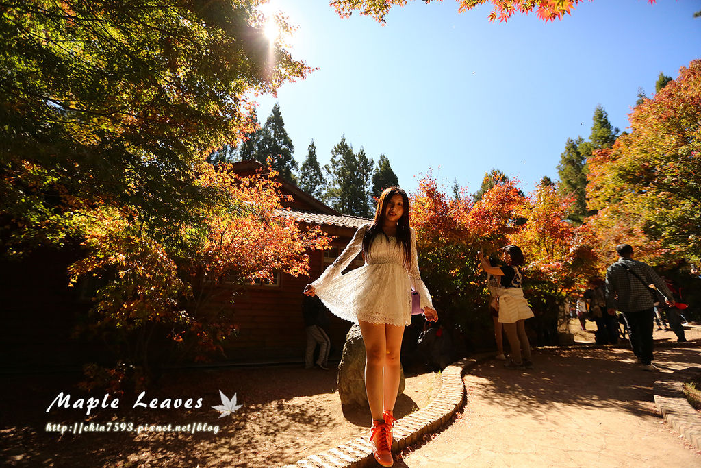 BQ1A8686.jpg BQ1A8686.jpg