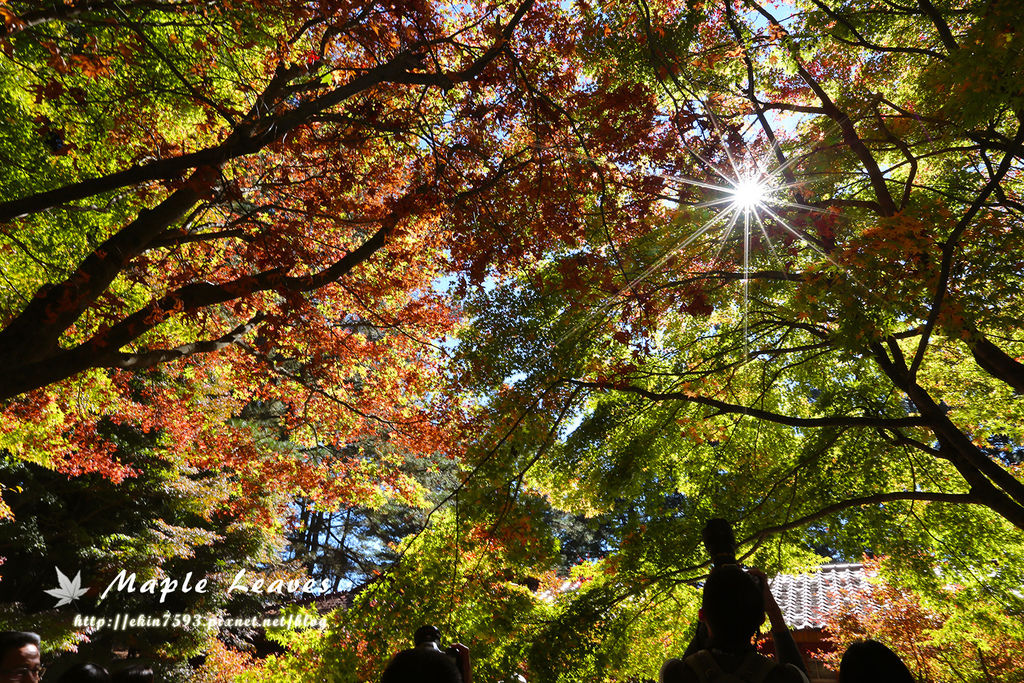 BQ1A8582.jpg BQ1A8582.jpg