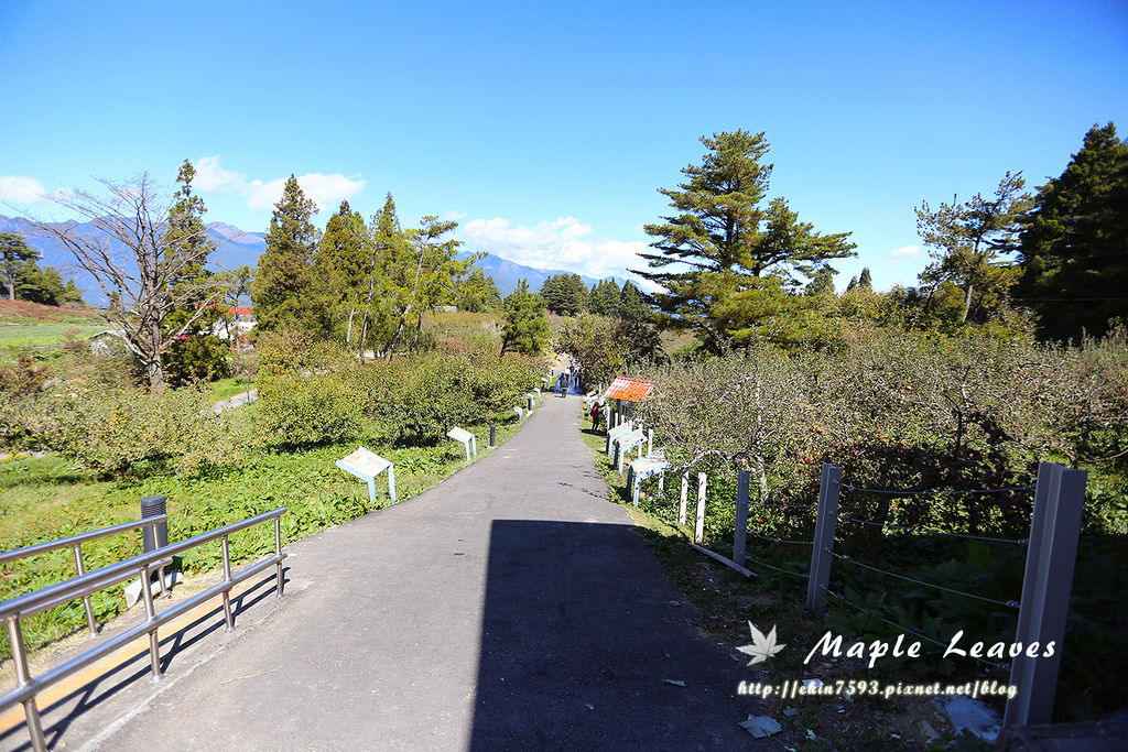 BQ1A8734.jpg BQ1A8734.jpg