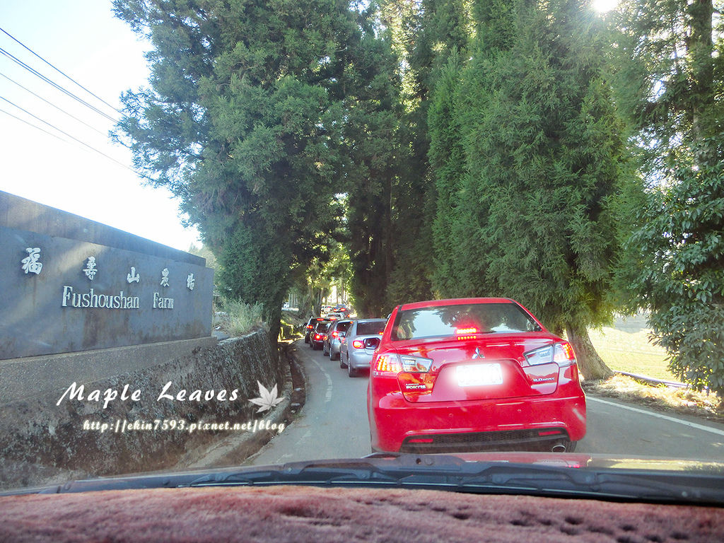 CIMG2459.jpg CIMG2459.jpg