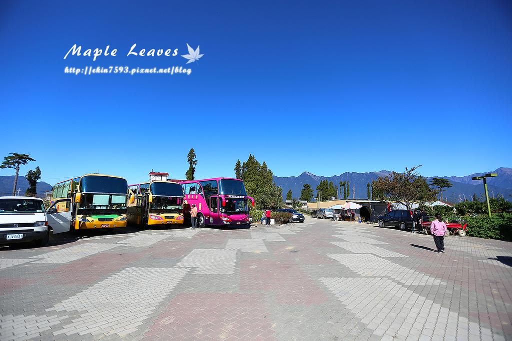 BQ1A8558.jpg BQ1A8558.jpg