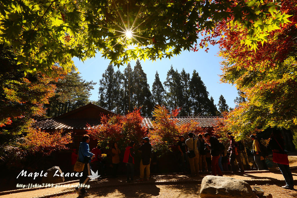 BQ1A8591.jpg BQ1A8591.jpg