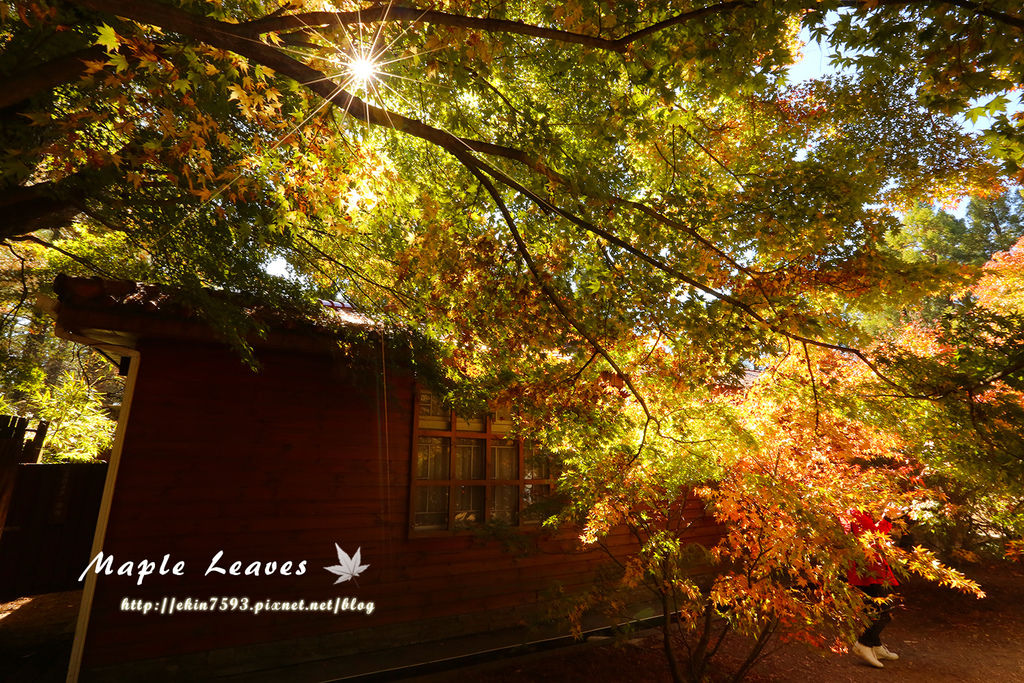 BQ1A8661.jpg BQ1A8661.jpg