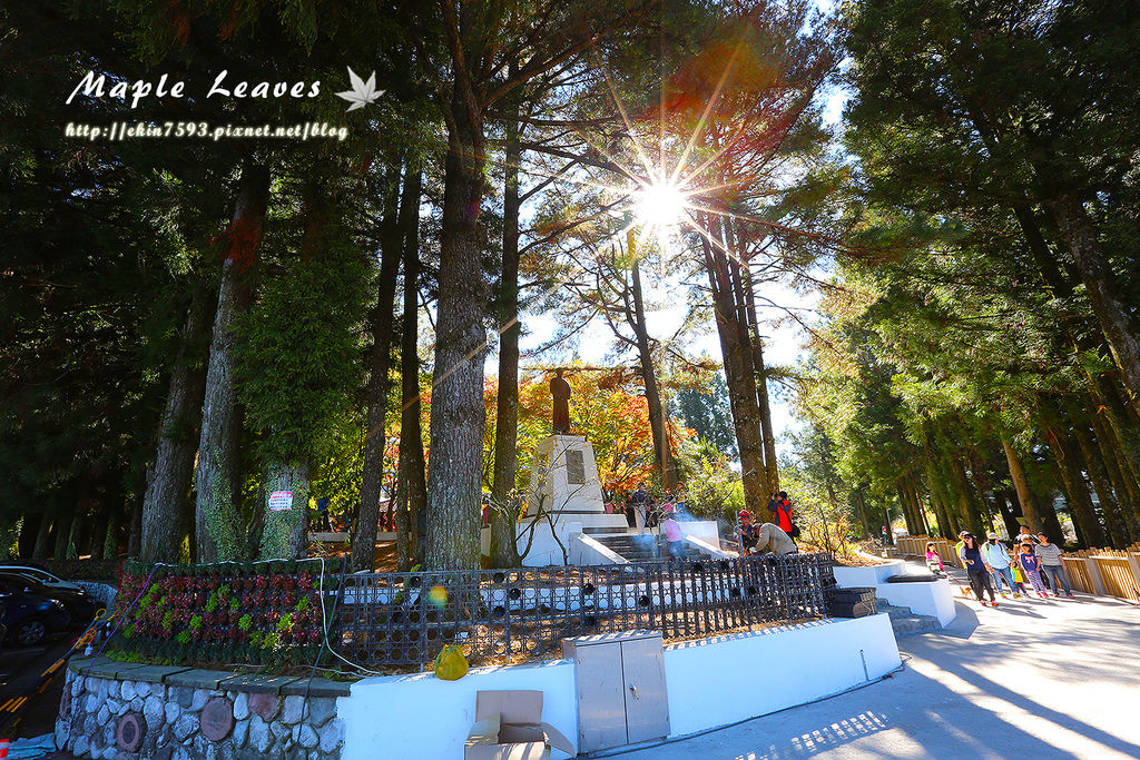 BQ1A8562.jpg BQ1A8562.jpg