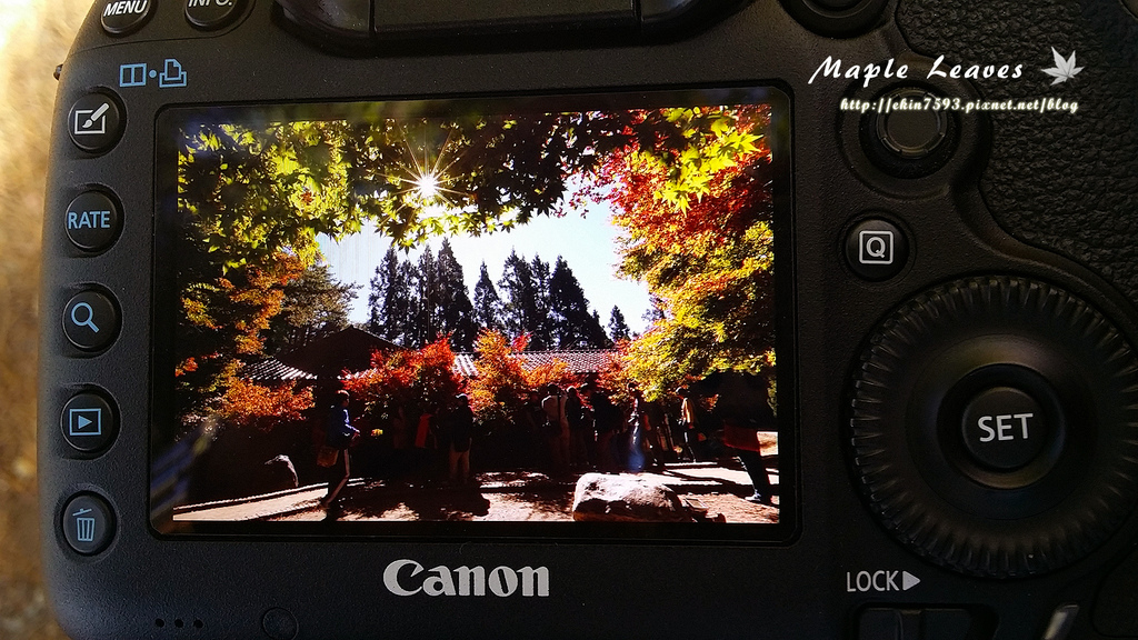 20141102_101937.jpg 20141102_101937.jpg