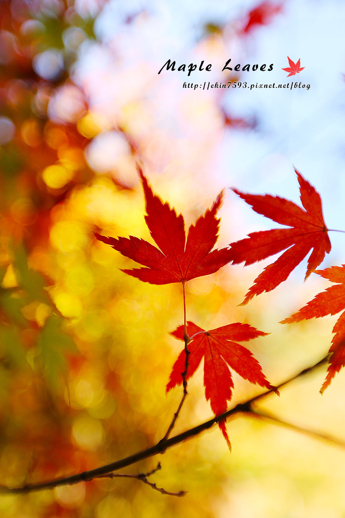 BQ1A8608.jpg BQ1A8608.jpg