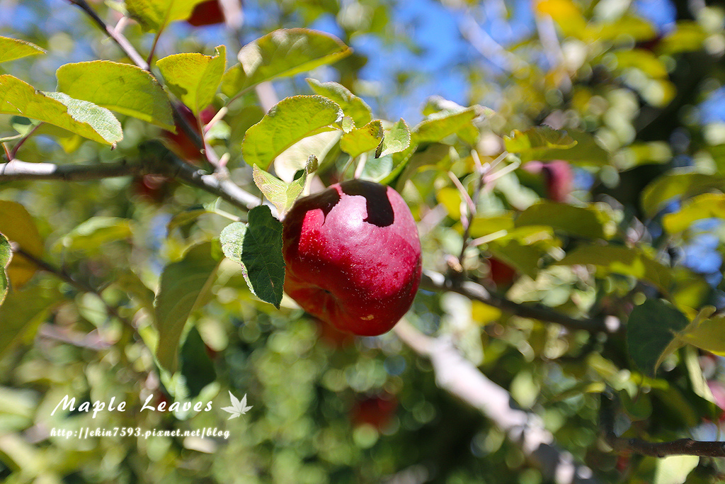 BQ1A8740.jpg BQ1A8740.jpg