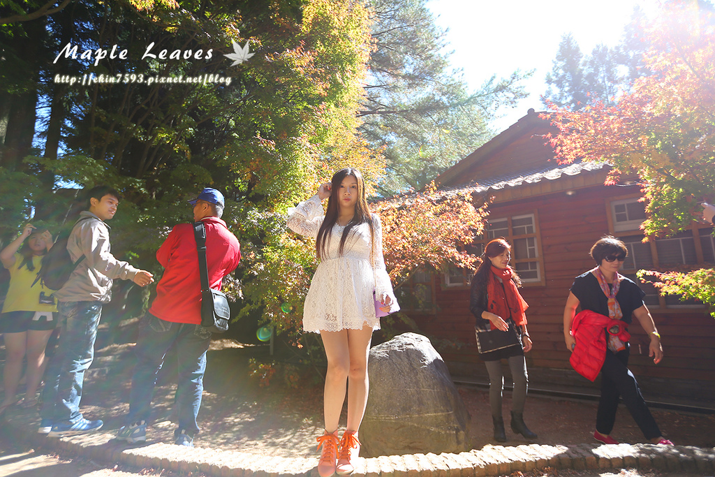 BQ1A8652.jpg BQ1A8652.jpg