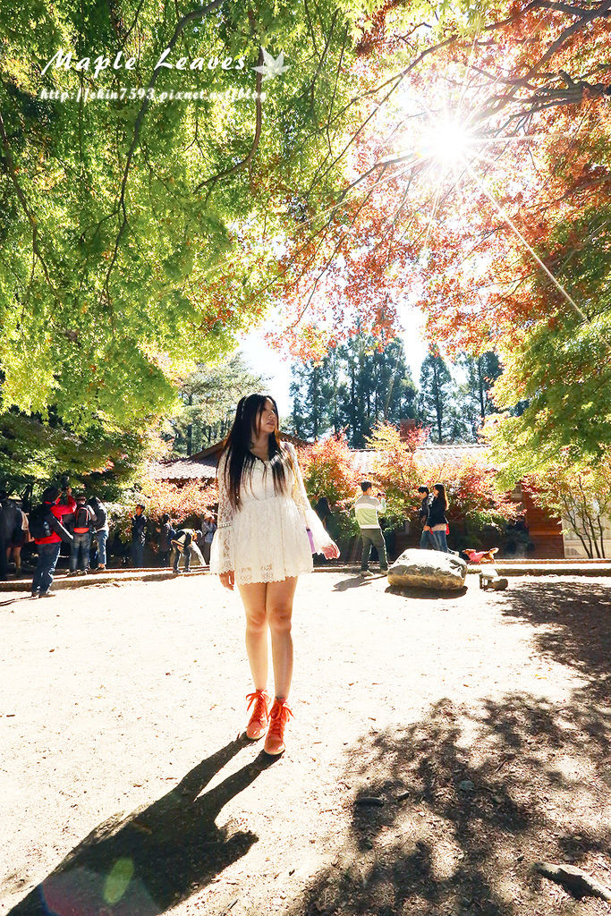 BQ1A8699.jpg BQ1A8699.jpg