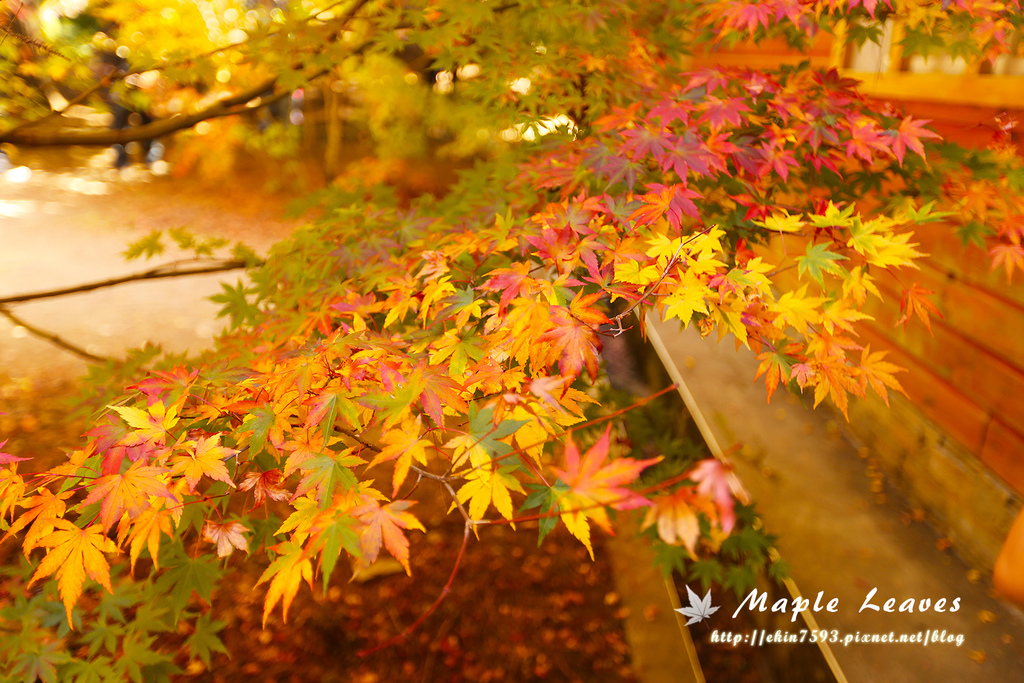 BQ1A8616.jpg BQ1A8616.jpg