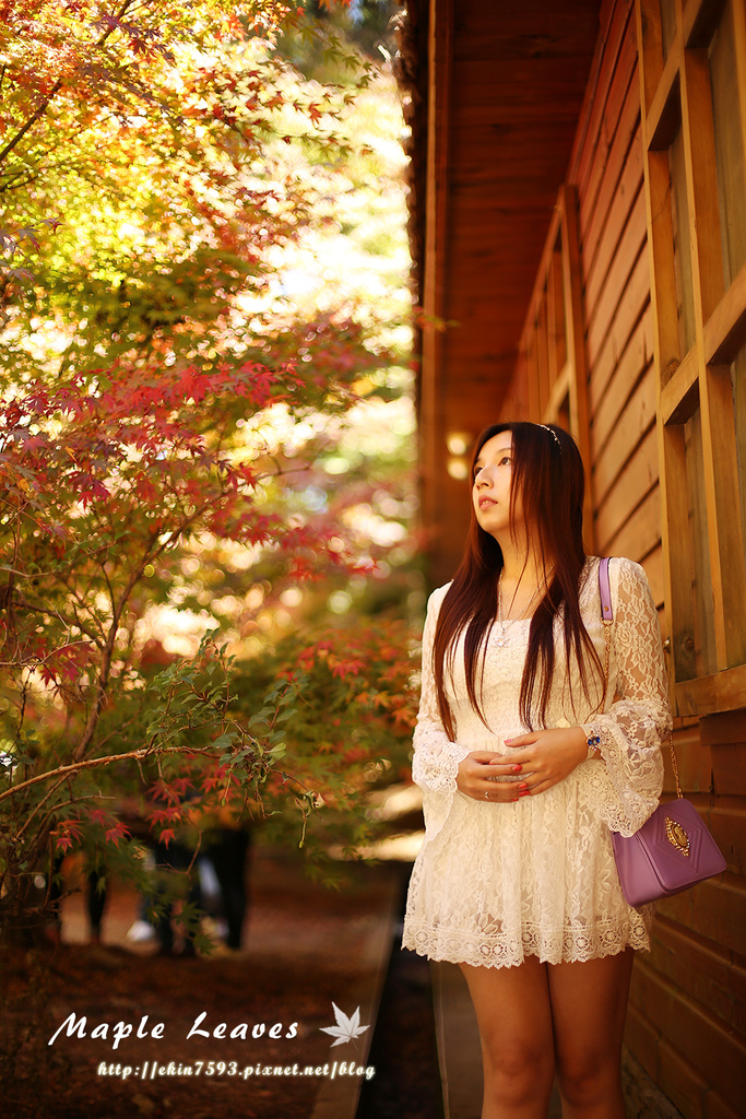 BQ1A8621.jpg BQ1A8621.jpg