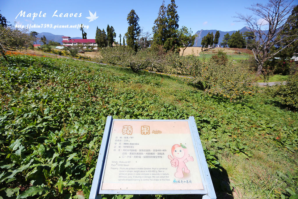 BQ1A8736.jpg BQ1A8736.jpg