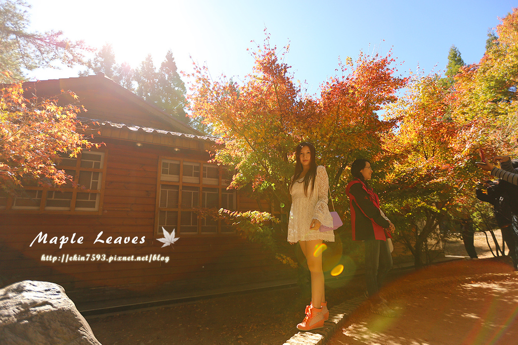 BQ1A8592.jpg BQ1A8592.jpg