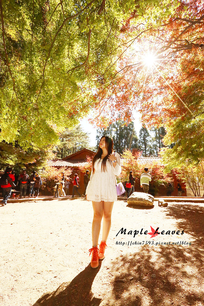 BQ1A8700.jpg BQ1A8700.jpg