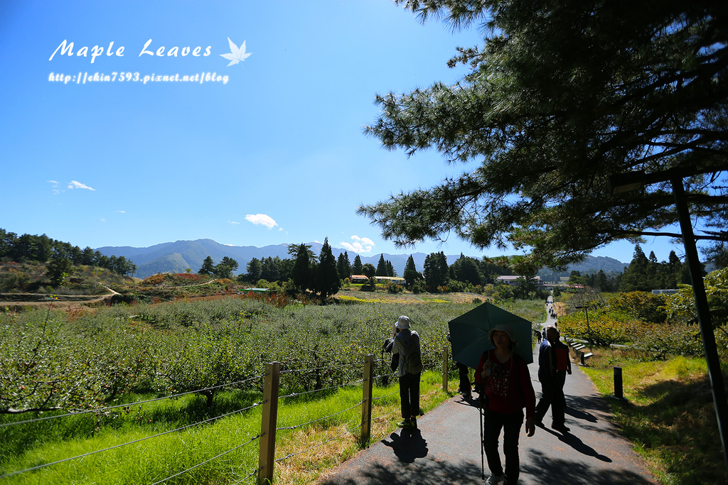 BQ1A8759.jpg BQ1A8759.jpg