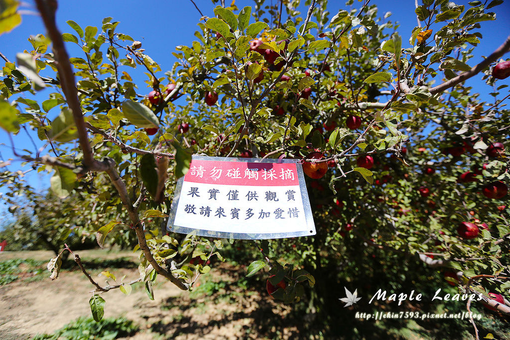 BQ1A8739.jpg BQ1A8739.jpg