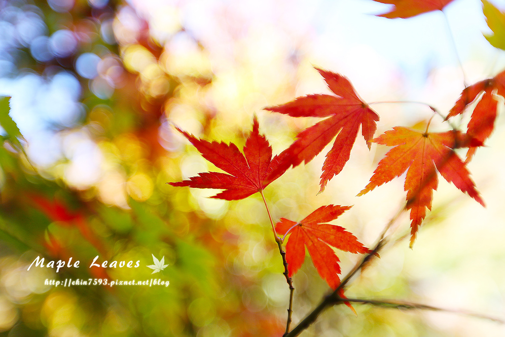 BQ1A8611.jpg BQ1A8611.jpg