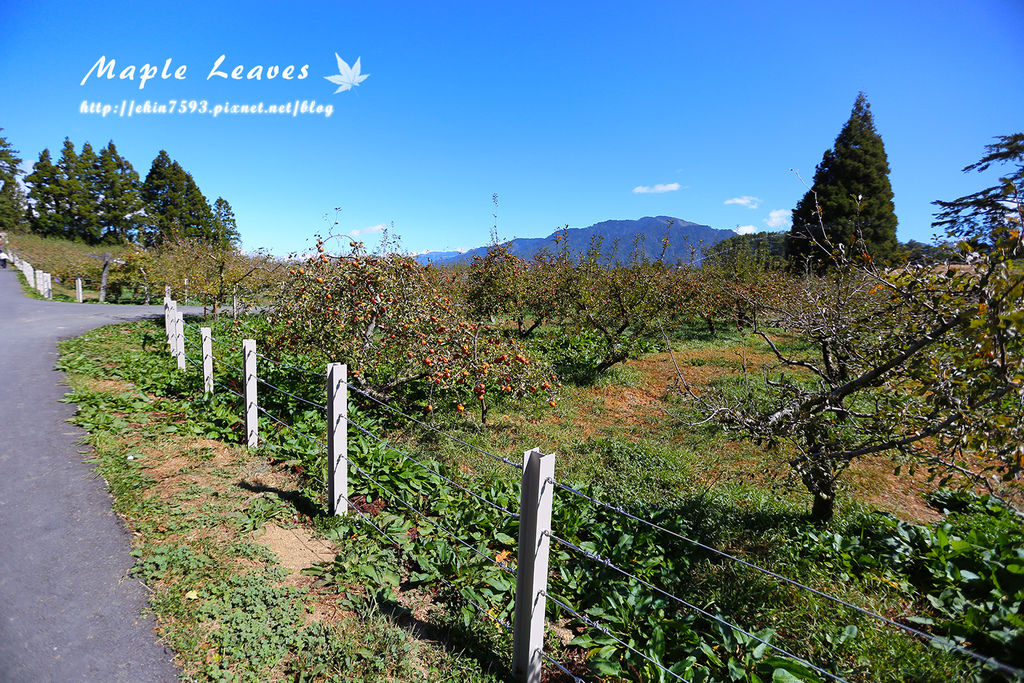 BQ1A8749.jpg BQ1A8749.jpg