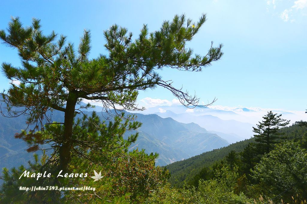 BQ1A8802.jpg BQ1A8802.jpg