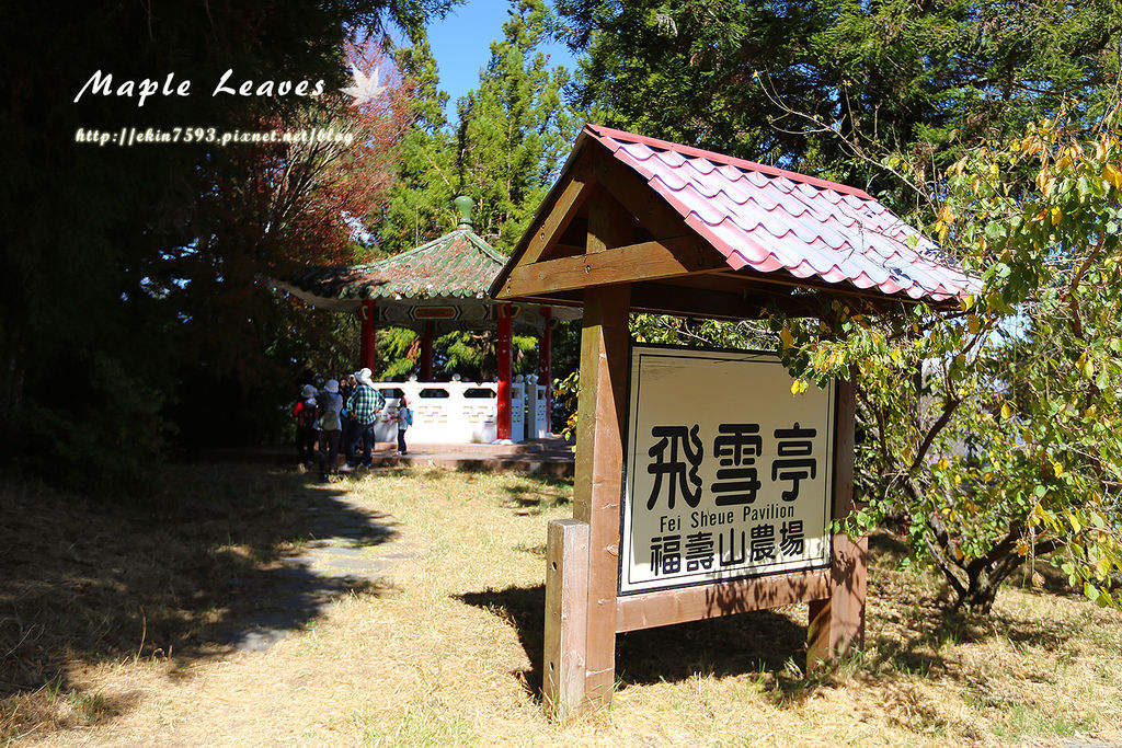 BQ1A8764.jpg BQ1A8764.jpg