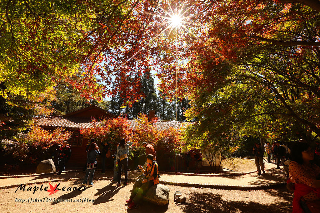 BQ1A8703.jpg BQ1A8703.jpg