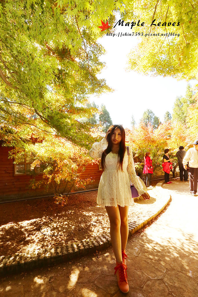 BQ1A8666.jpg BQ1A8666.jpg