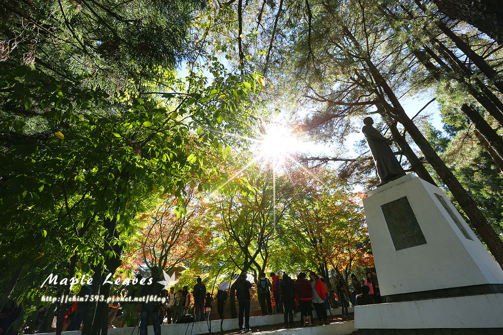 BQ1A8577.jpg BQ1A8577.jpg