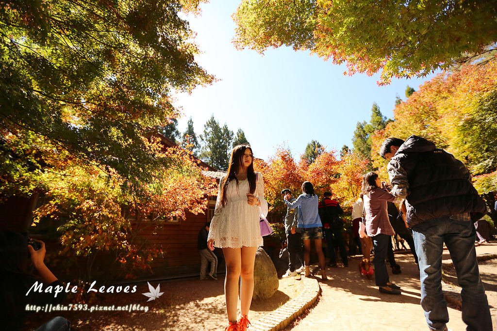 BQ1A8684.jpg BQ1A8684.jpg