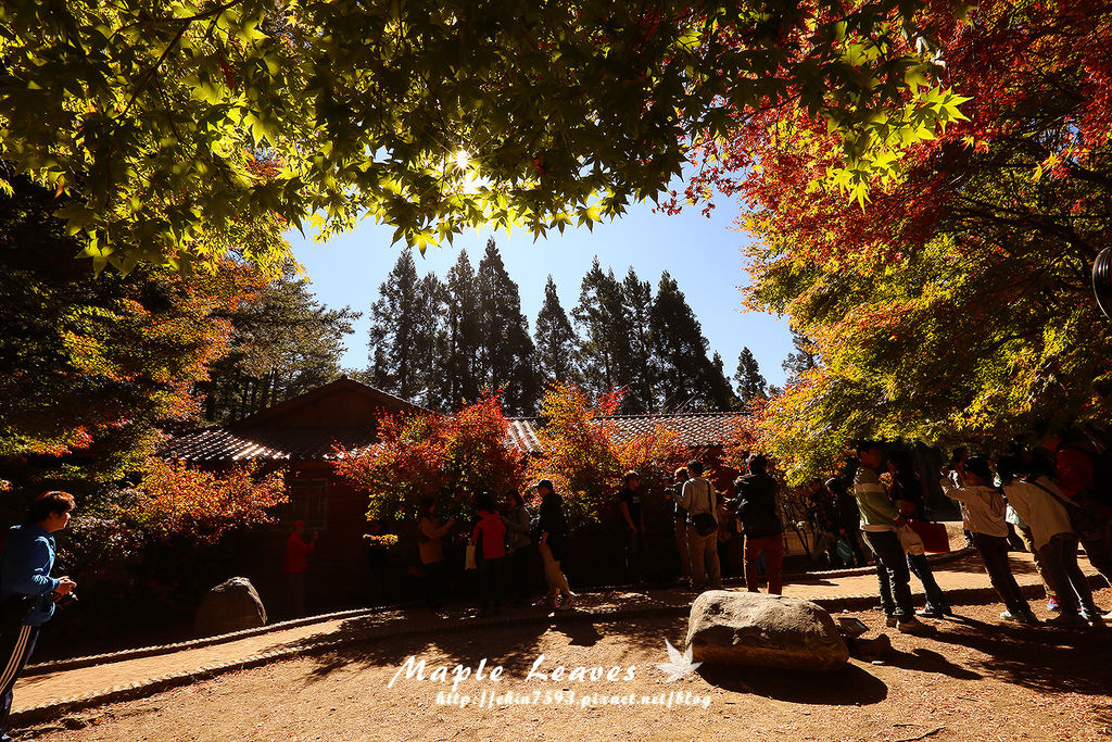 BQ1A8590.jpg BQ1A8590.jpg