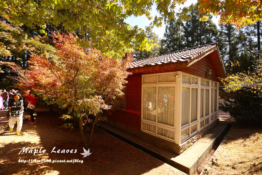 BQ1A8644.jpg BQ1A8644.jpg