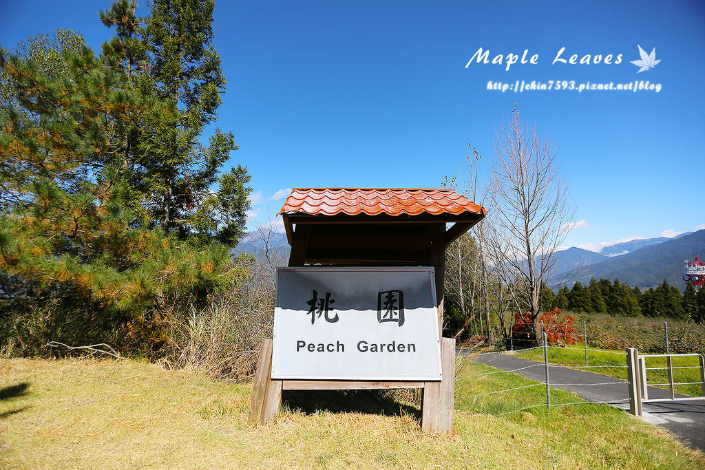 BQ1A8775.jpg BQ1A8775.jpg