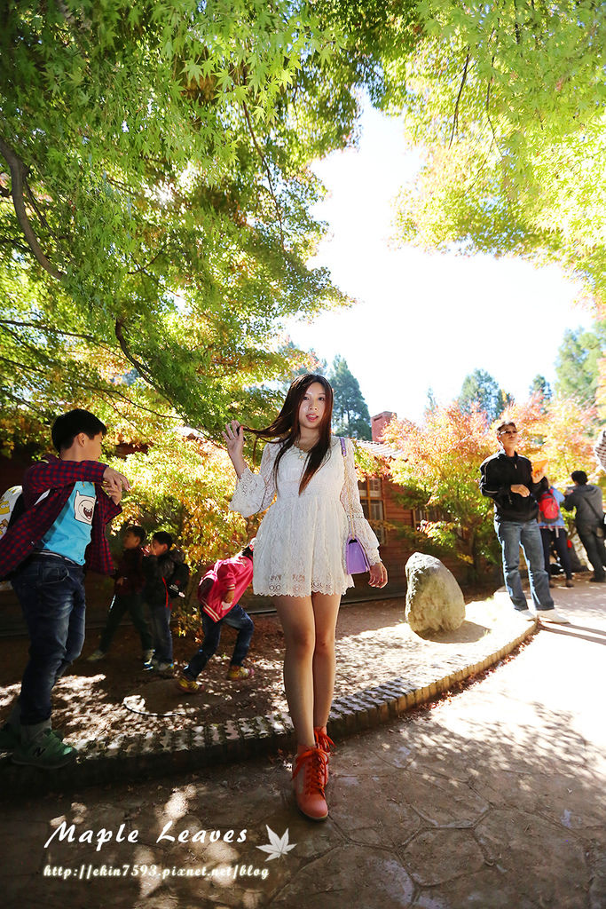 BQ1A8675.jpg BQ1A8675.jpg