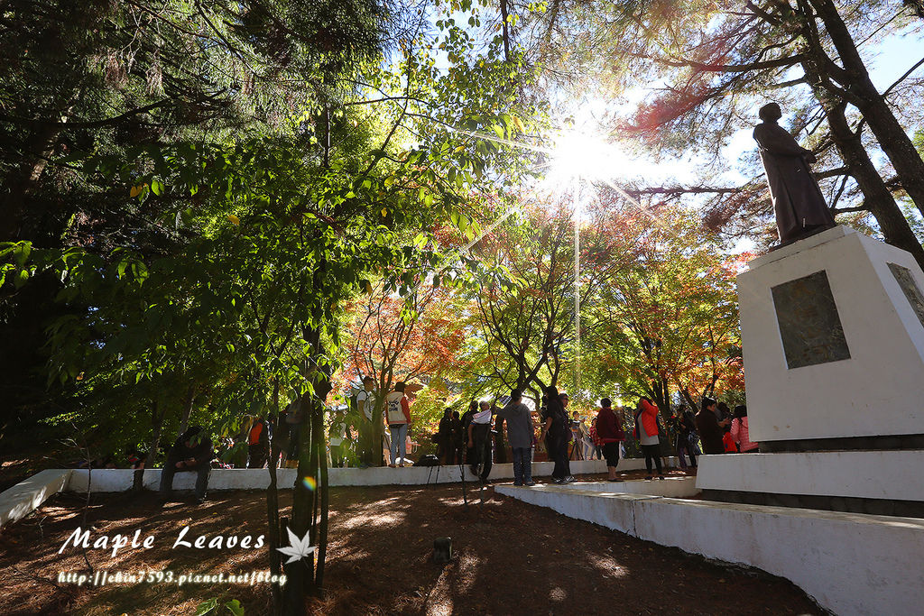 BQ1A8575.jpg BQ1A8575.jpg