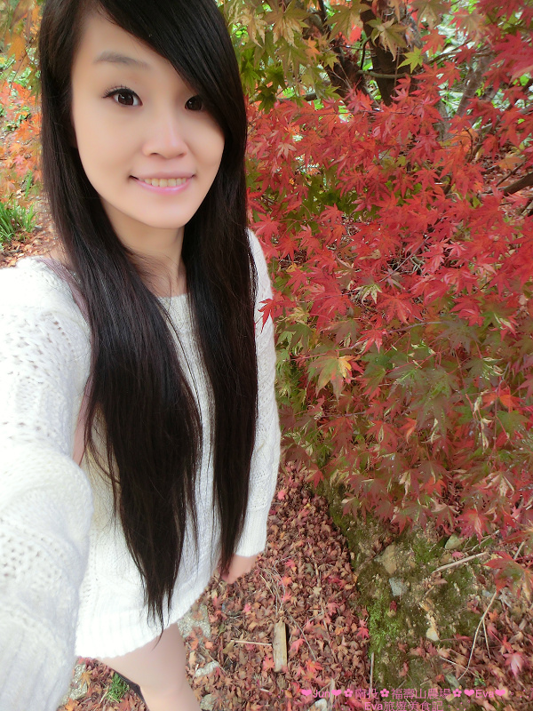 福壽山農場：【遊記】oO。台中（宜蘭）　福壽山農場　秋楓　今年楓紅提早囉～秋楓時況轉播！像極在日本拍秋楓，這裡是賞楓葉的好地方！。o○。