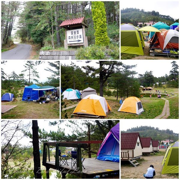 【台中和平】2014想楓就瘋。秋天迷人的福壽山農場