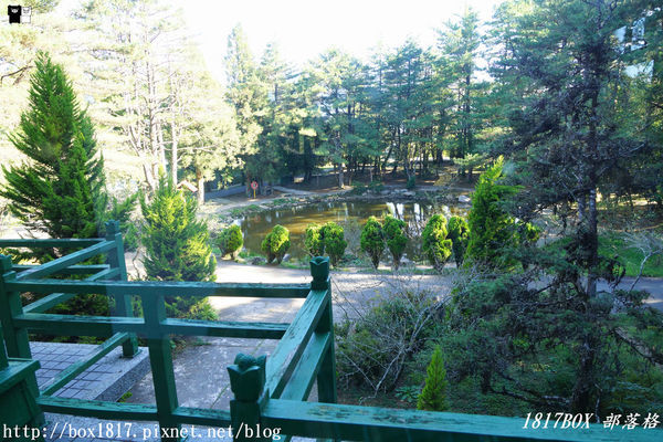 【台中。和平】秋遊福壽山農場。台灣最有靈氣的達觀亭天池。露營區蘋果屋。蘋果王。鴛鴦湖楓葉