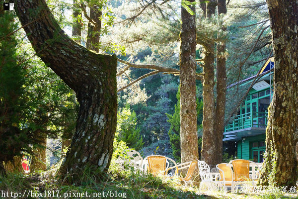 【台中。和平】秋遊福壽山農場。台灣最有靈氣的達觀亭天池。露營區蘋果屋。蘋果王。鴛鴦湖楓葉