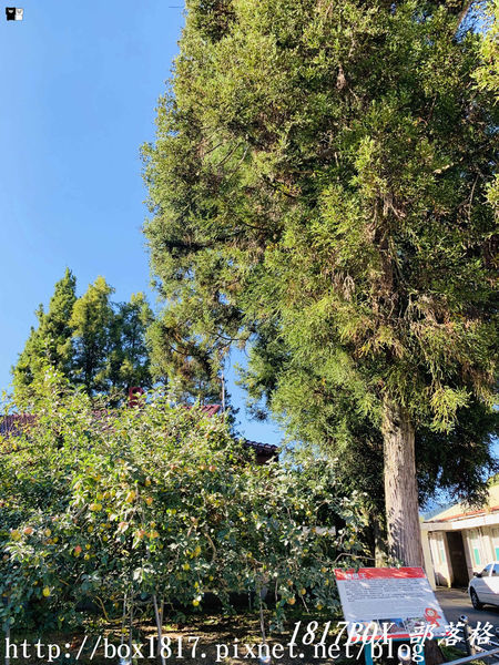 【台中。和平】秋遊福壽山農場。台灣最有靈氣的達觀亭天池。露營區蘋果屋。蘋果王。鴛鴦湖楓葉