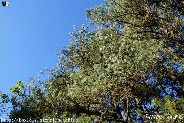 【台中。和平】秋遊福壽山農場。台灣最有靈氣的達觀亭天池。露營區蘋果屋。蘋果王。鴛鴦湖楓葉