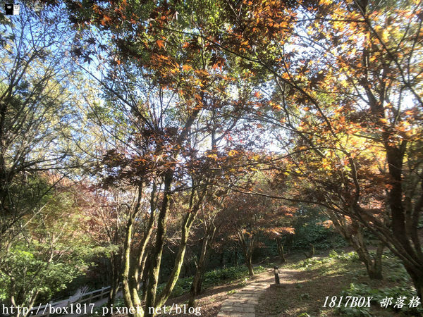 【台中。和平】秋遊福壽山農場。台灣最有靈氣的達觀亭天池。露營區蘋果屋。蘋果王。鴛鴦湖楓葉