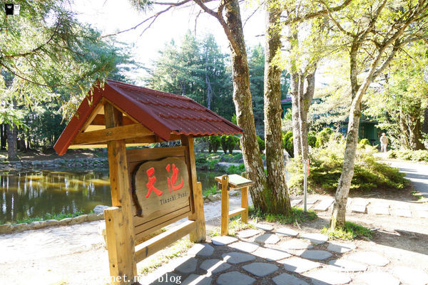 【台中。和平】秋遊福壽山農場。台灣最有靈氣的達觀亭天池。露營區蘋果屋。蘋果王。鴛鴦湖楓葉