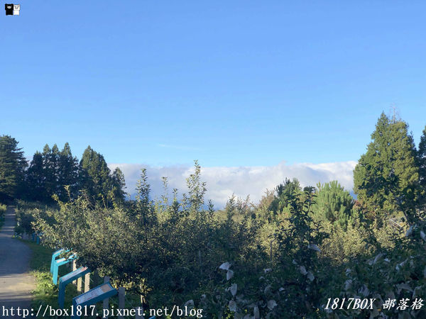 【台中。和平】秋遊福壽山農場。台灣最有靈氣的達觀亭天池。露營區蘋果屋。蘋果王。鴛鴦湖楓葉