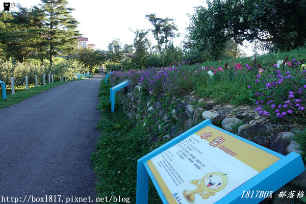 【台中。和平】秋遊福壽山農場。台灣最有靈氣的達觀亭天池。露營區蘋果屋。蘋果王。鴛鴦湖楓葉