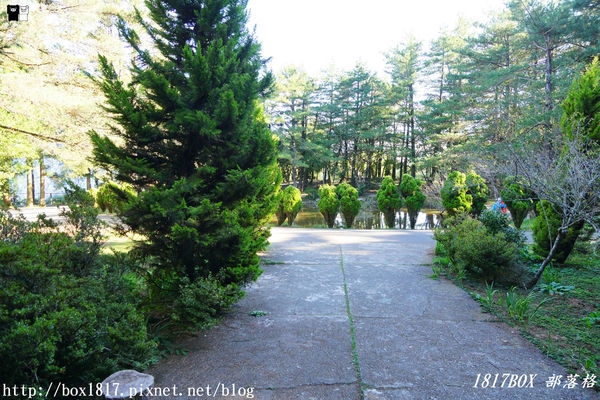 【台中。和平】秋遊福壽山農場。台灣最有靈氣的達觀亭天池。露營區蘋果屋。蘋果王。鴛鴦湖楓葉